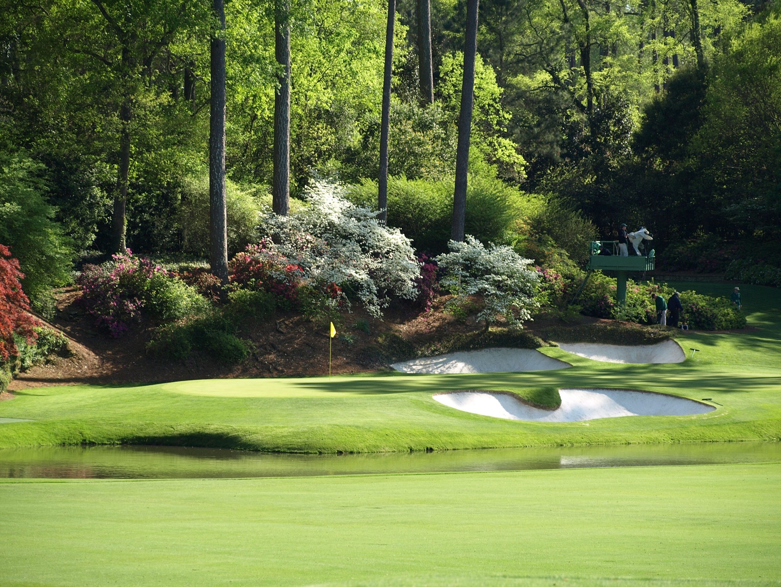 Exploring Golf Courses that Have Hosted Major Tournaments