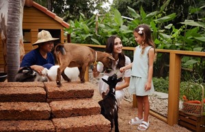 Anantara Hua Hin_Mini Farm-(1)