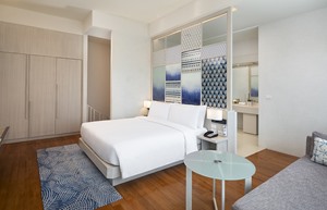 amari_duplex_suite_4