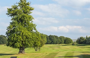 dalmahoy 1st tee east