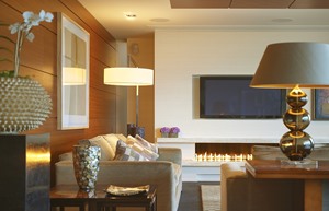 Penthouse Living Room 1