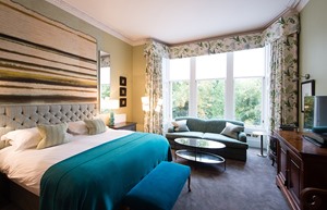 classic room 44660713601 o