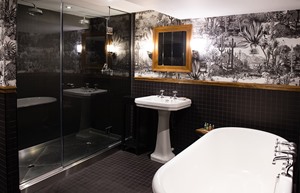 duplex suite 43751870185 o