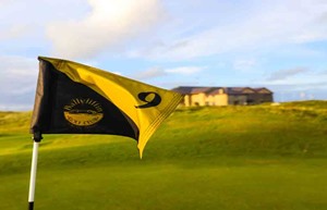 ResizedPollan Links img 4208 orig