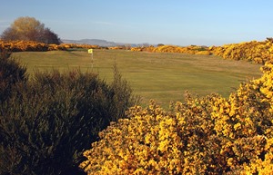 montrose broomfield course