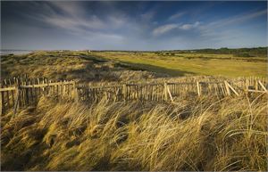 royal troon 6th north from dunes