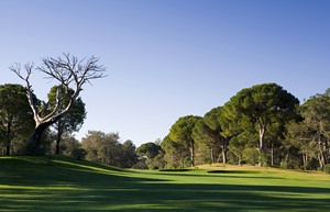 Resized National Golf 9