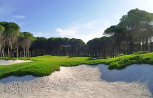 Resized Carya Golf 1