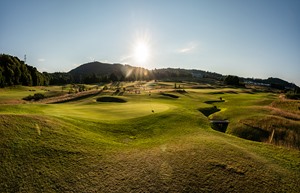 15th green 1 product